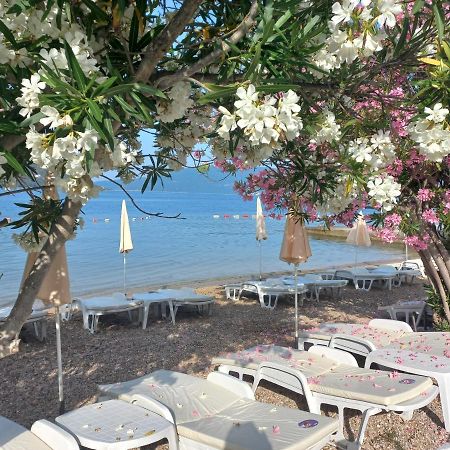 Villa Angelina Kumbor Dış mekan fotoğraf