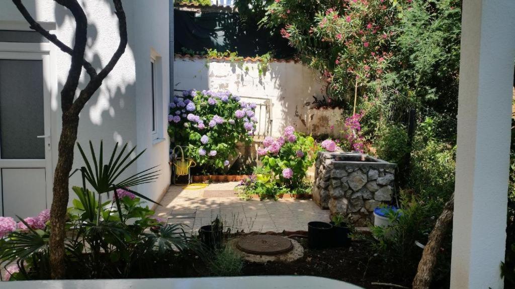 Villa Angelina Kumbor Dış mekan fotoğraf