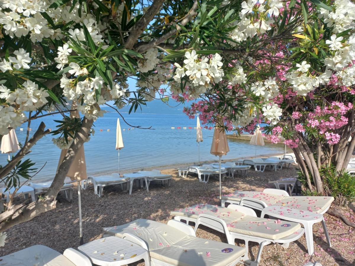 Villa Angelina Kumbor Dış mekan fotoğraf